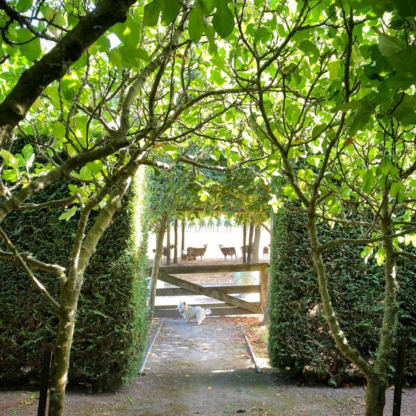 马斯特顿Stablehouse Garden Shed别墅 外观 照片